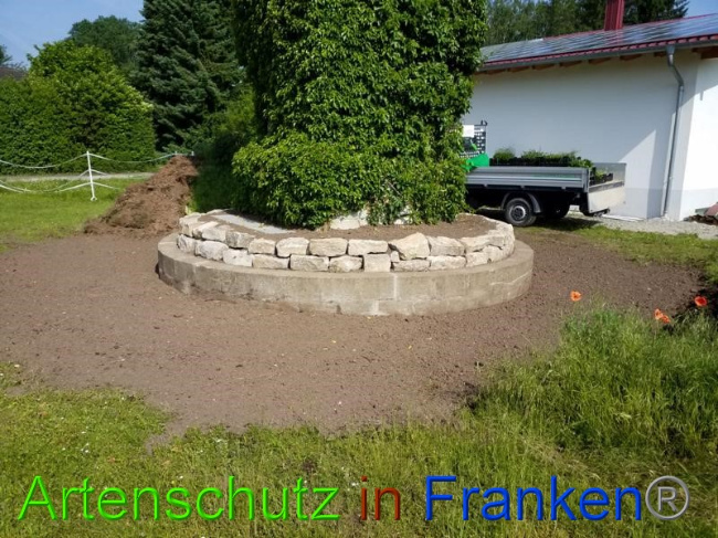 © Artenschutz in Franken® Bild zum Eintrag (1050412-160)