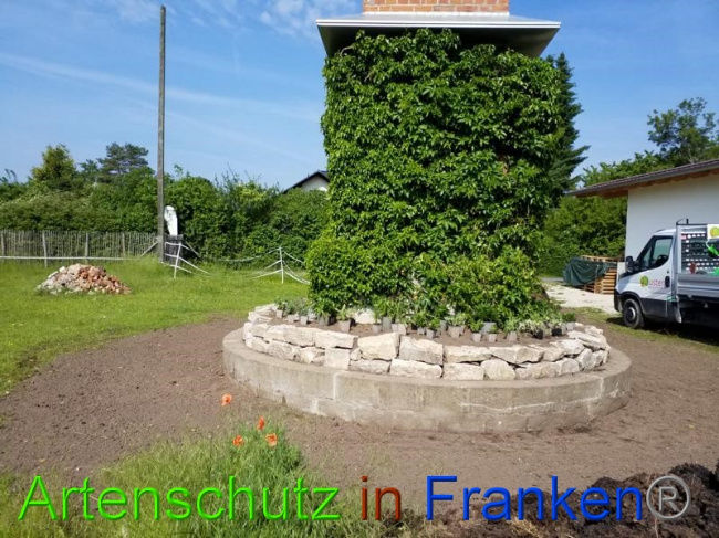 © Artenschutz in Franken® Bild zum Eintrag (1050413-160)
