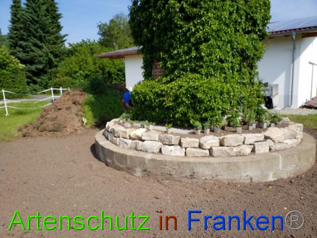 © Artenschutz in Franken® Bild zum Eintrag (1050422-160)