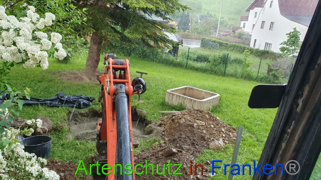 © Artenschutz in Franken® Bild zum Eintrag (1050519-160)