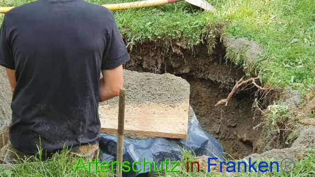 © Artenschutz in Franken® Bild zum Eintrag (1050520-160)