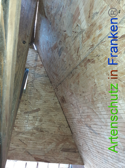 © Artenschutz in Franken® Bild zum Eintrag (1050562-160)