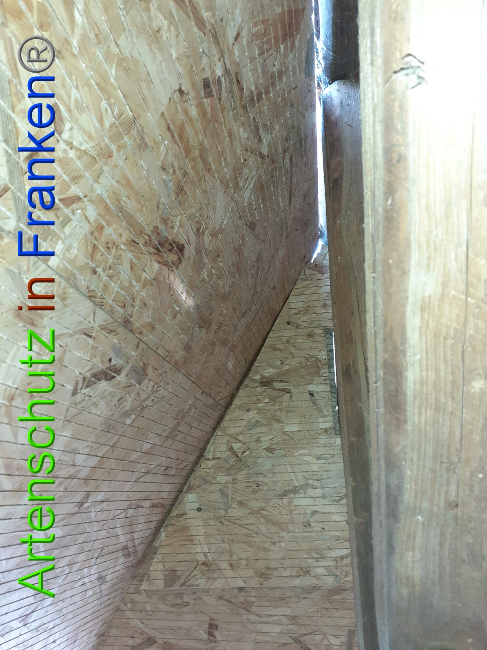 © Artenschutz in Franken® Bild zum Eintrag (1050563-160)