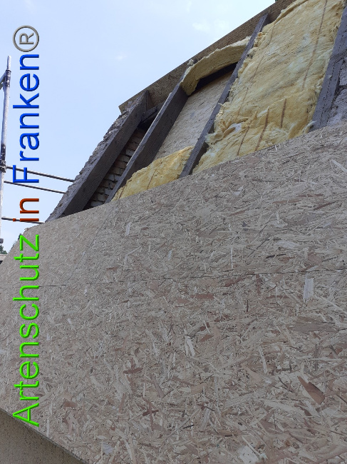 © Artenschutz in Franken® Bild zum Eintrag (1050565-160)