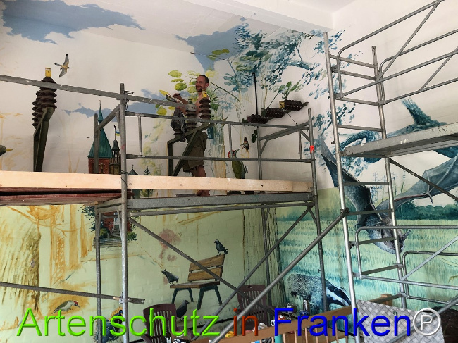 © Artenschutz in Franken® / U.Francken Bild zum Eintrag (1050630-160)