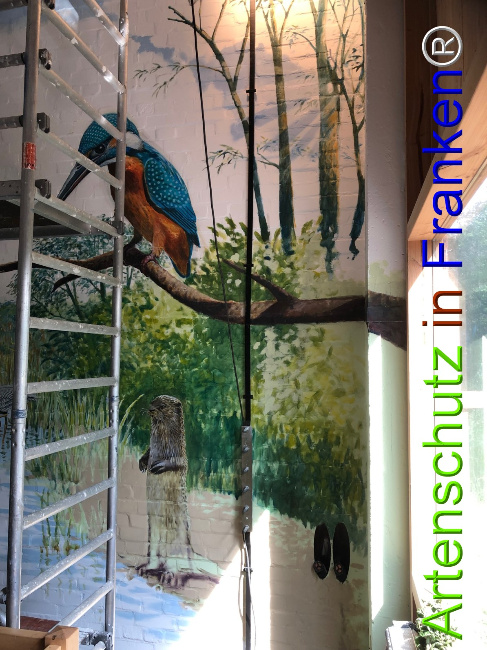 © Artenschutz in Franken® Bild zum Eintrag (1050634-160)