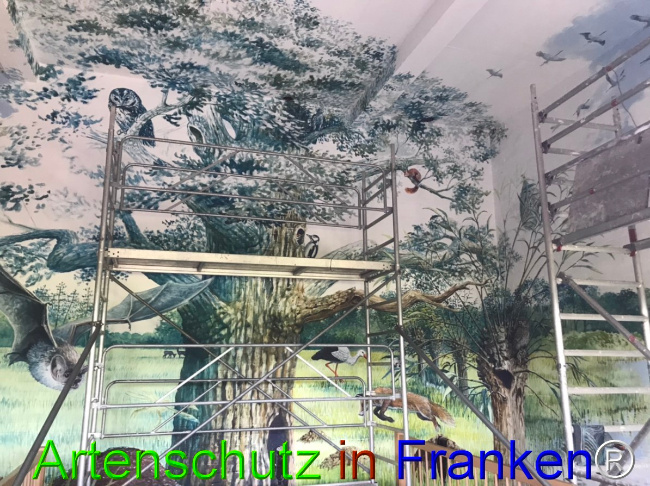 © Artenschutz in Franken® Bild zum Eintrag (1050647-160)