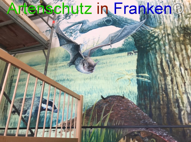 © Artenschutz in Franken® Bild zum Eintrag (1050651-160)