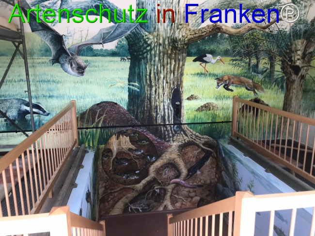 © Artenschutz in Franken® Bild zum Eintrag (1050652-160)