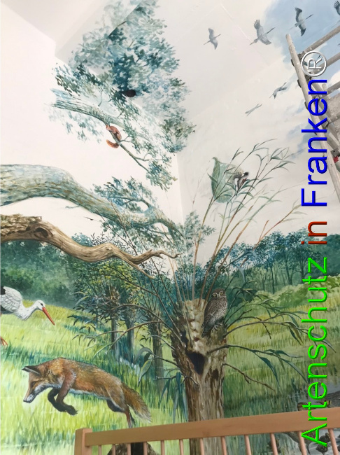 © Artenschutz in Franken® Bild zum Eintrag (1050655-160)