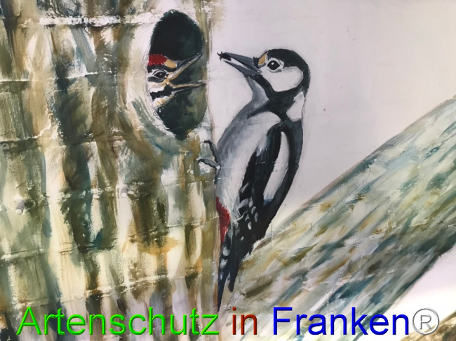 © Artenschutz in Franken® Bild zum Eintrag (1050659-160)