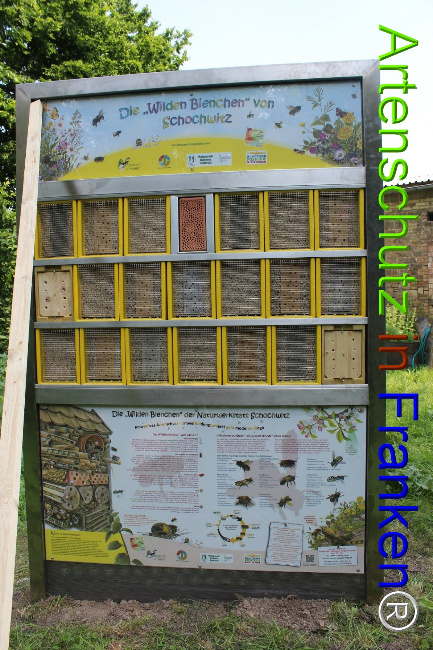 © Artenschutz in Franken® Bild zum Eintrag (1050674-160)