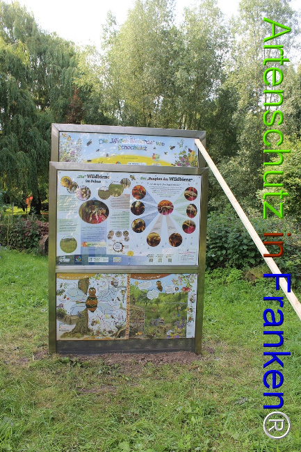 © Artenschutz in Franken® Bild zum Eintrag (1050676-160)