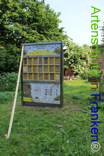 © Artenschutz in Franken® Bild zum Eintrag (1050677-160)