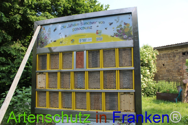 © Artenschutz in Franken® Bild zum Eintrag (1050678-160)