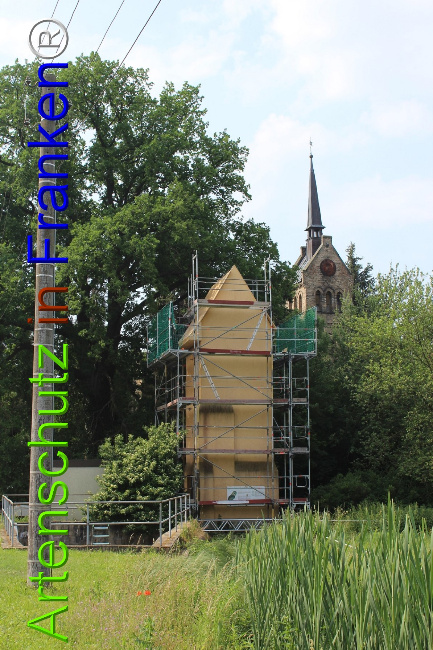 © Artenschutz in Franken® Bild zum Eintrag (1050702-160)