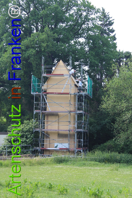 © Artenschutz in Franken® Bild zum Eintrag (1050703-160)