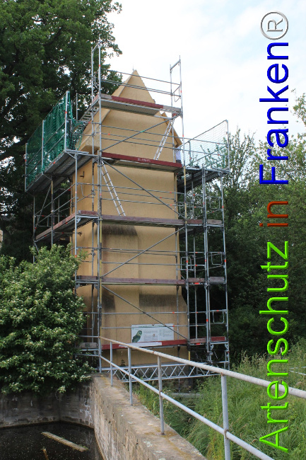 © Artenschutz in Franken® Bild zum Eintrag (1050704-160)