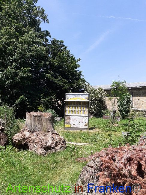 © Artenschutz in Franken® Bild zum Eintrag (1050734-160)