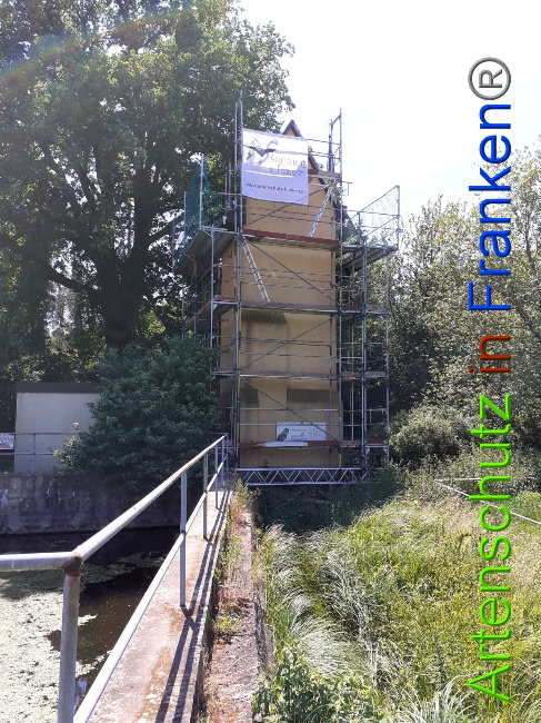 © Artenschutz in Franken® Bild zum Eintrag (1050741-160)