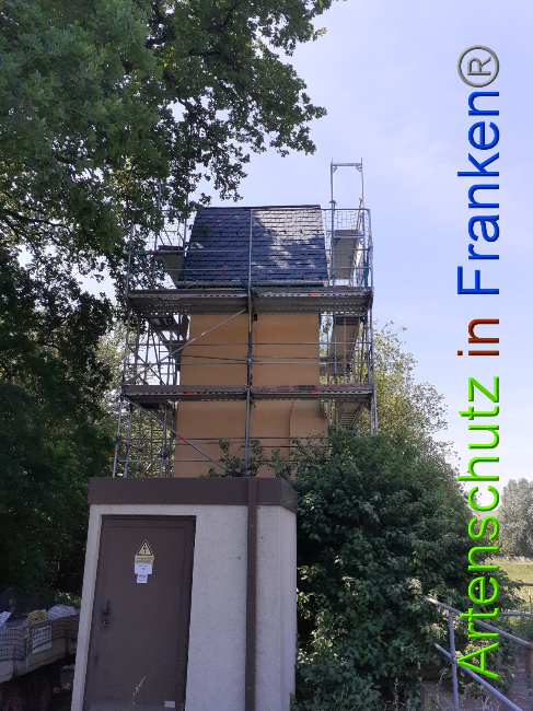 © Artenschutz in Franken® Bild zum Eintrag (1050743-160)
