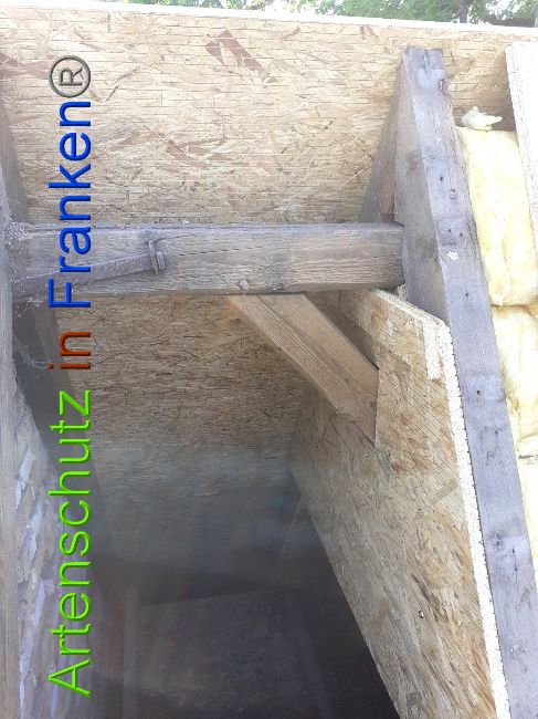 © Artenschutz in Franken® Bild zum Eintrag (1050745-160)