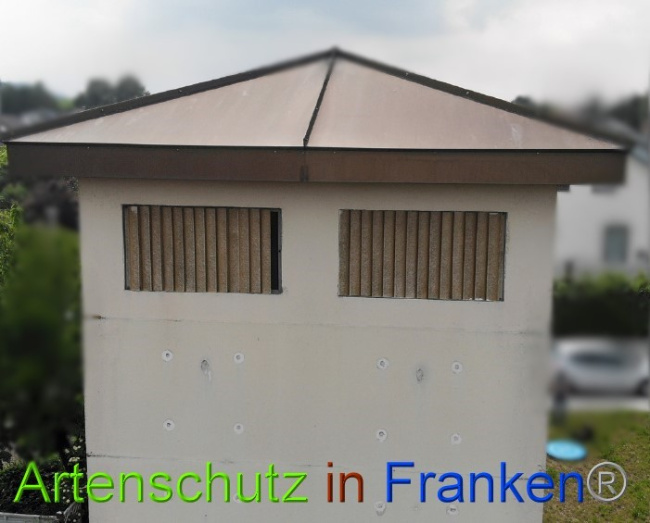 © Artenschutz in Franken® Bild zum Eintrag (1050844-160)