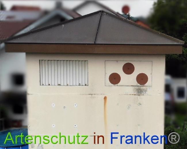© Artenschutz in Franken® Bild zum Eintrag (1050845-160)