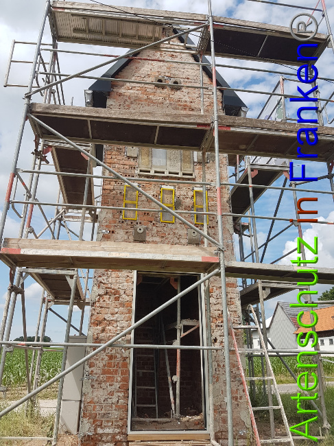 © Artenschutz in Franken® Bild zum Eintrag (1051002-160)