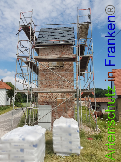 © Artenschutz in Franken® Bild zum Eintrag (1051003-160)