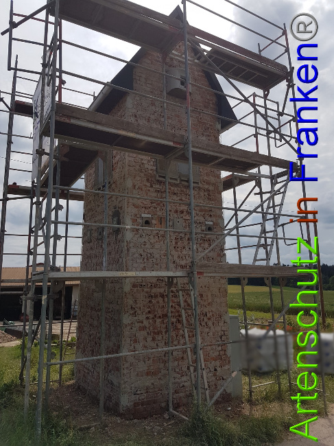 © Artenschutz in Franken® Bild zum Eintrag (1051004-160)