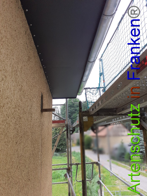 © Artenschutz in Franken® Bild zum Eintrag (1051019-160)