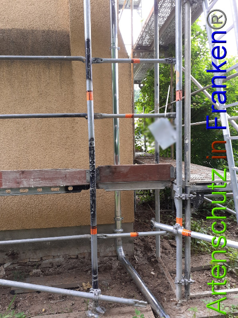 © Artenschutz in Franken® Bild zum Eintrag (1051022-160)