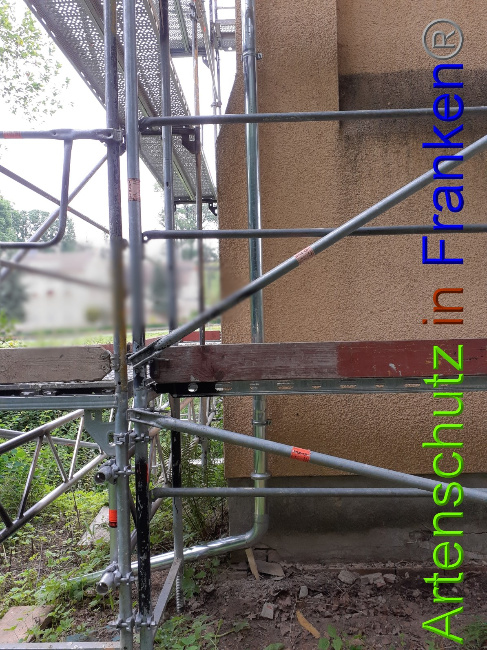 © Artenschutz in Franken® Bild zum Eintrag (1051023-160)