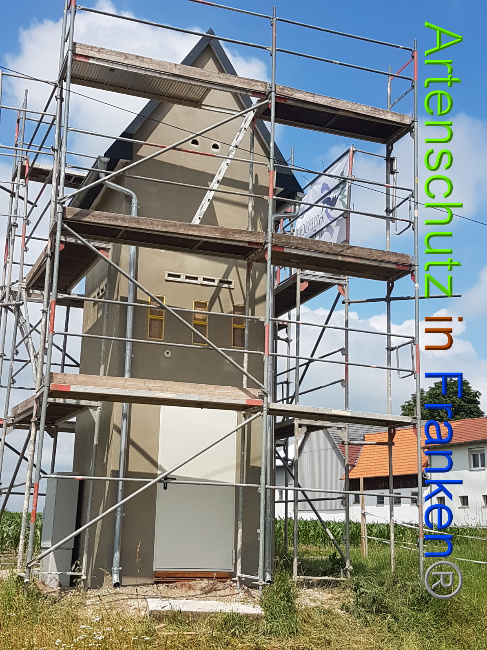 © Artenschutz in Franken® Bild zum Eintrag (1051114-160)