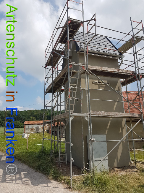 © Artenschutz in Franken® Bild zum Eintrag (1051115-160)