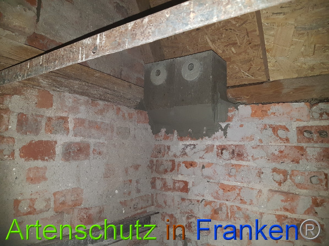© Artenschutz in Franken® Bild zum Eintrag (1051118-160)
