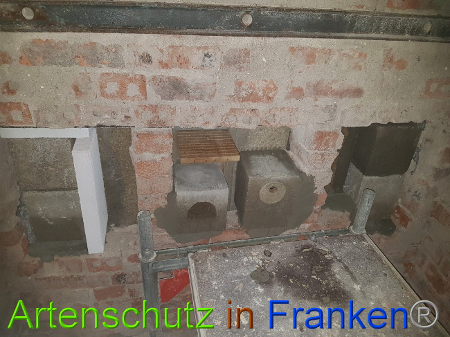 © Artenschutz in Franken® Bild zum Eintrag (1051120-160)