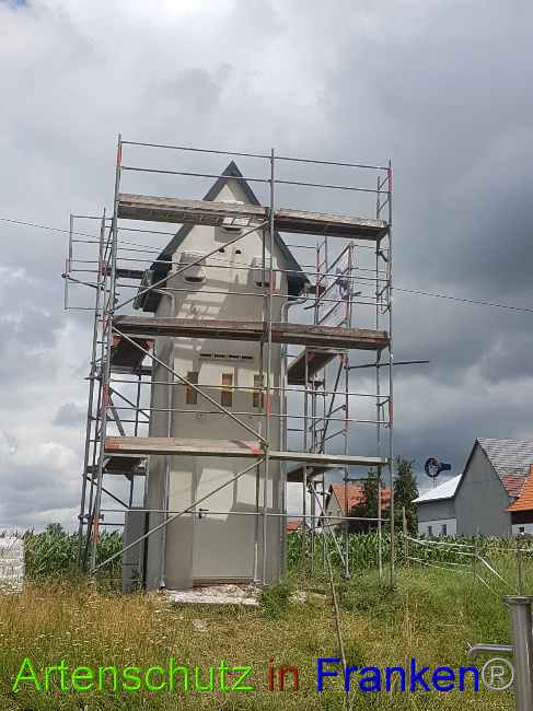 © Artenschutz in Franken® Bild zum Eintrag (1051415-160)