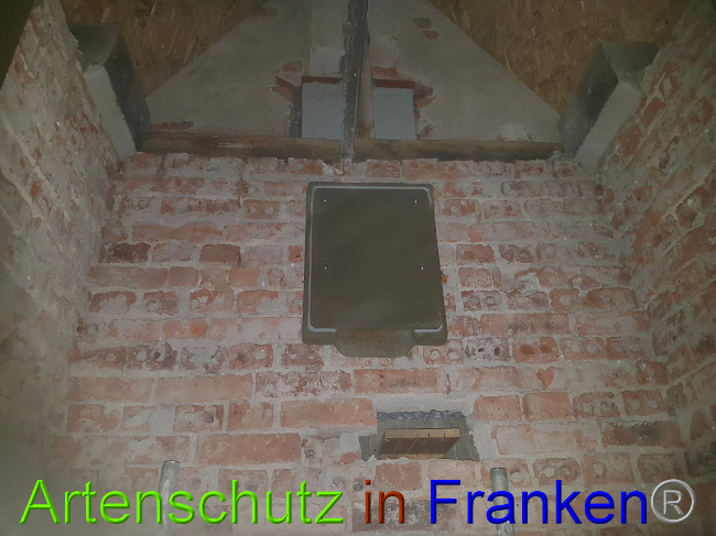 Bild zum Eintrag (1051419-160)