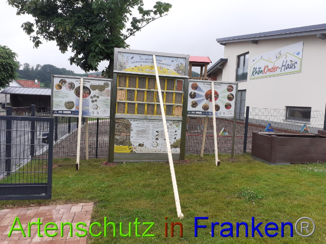 © Artenschutz in Franken® Bild zum Eintrag (1051429-160)