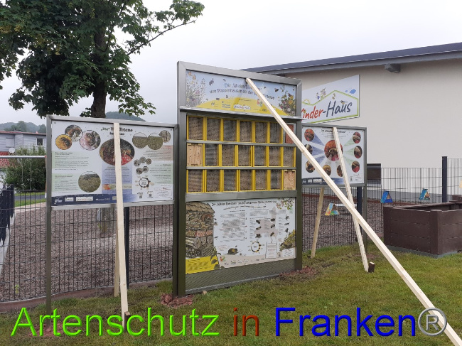 © Artenschutz in Franken® Bild zum Eintrag (1051430-160)