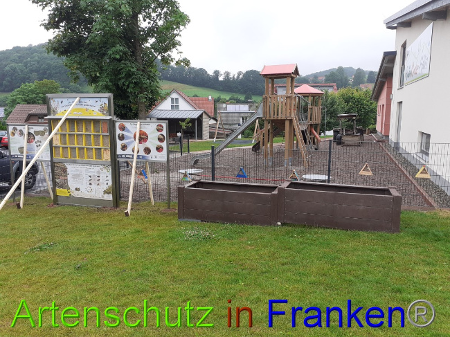 © Artenschutz in Franken® Bild zum Eintrag (1051431-160)