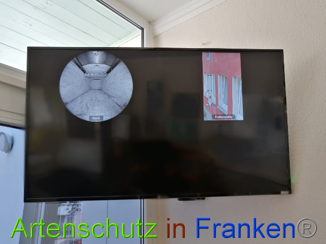 © Artenschutz in Franken® Bild zum Eintrag (1051468-160)