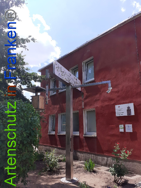 © Artenschutz in Franken® Bild zum Eintrag (1051472-160)