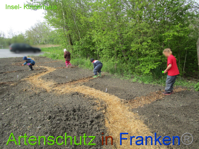 © Artenschutz in Franken® Bild zum Eintrag (1051502-160)