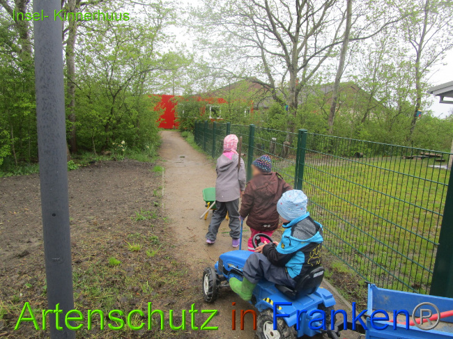 © Artenschutz in Franken® Bild zum Eintrag (1051503-160)