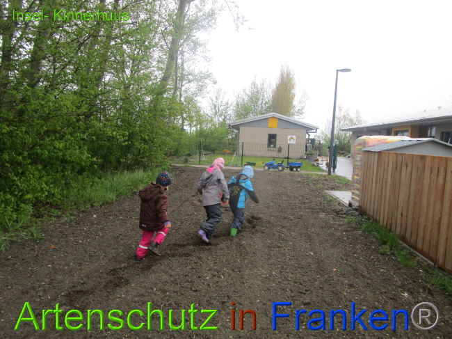 © Artenschutz in Franken® Bild zum Eintrag (1051504-160)