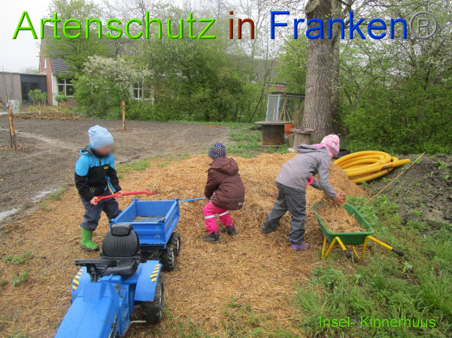 © Artenschutz in Franken® Bild zum Eintrag (1051506-160)