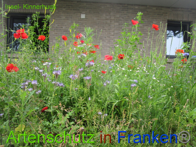 © Artenschutz in Franken® Bild zum Eintrag (1051508-160)